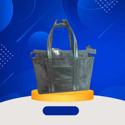 Lunch & Laptop bag